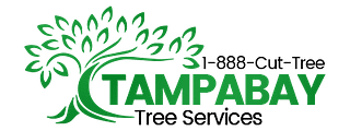 Tree Service Tampabay